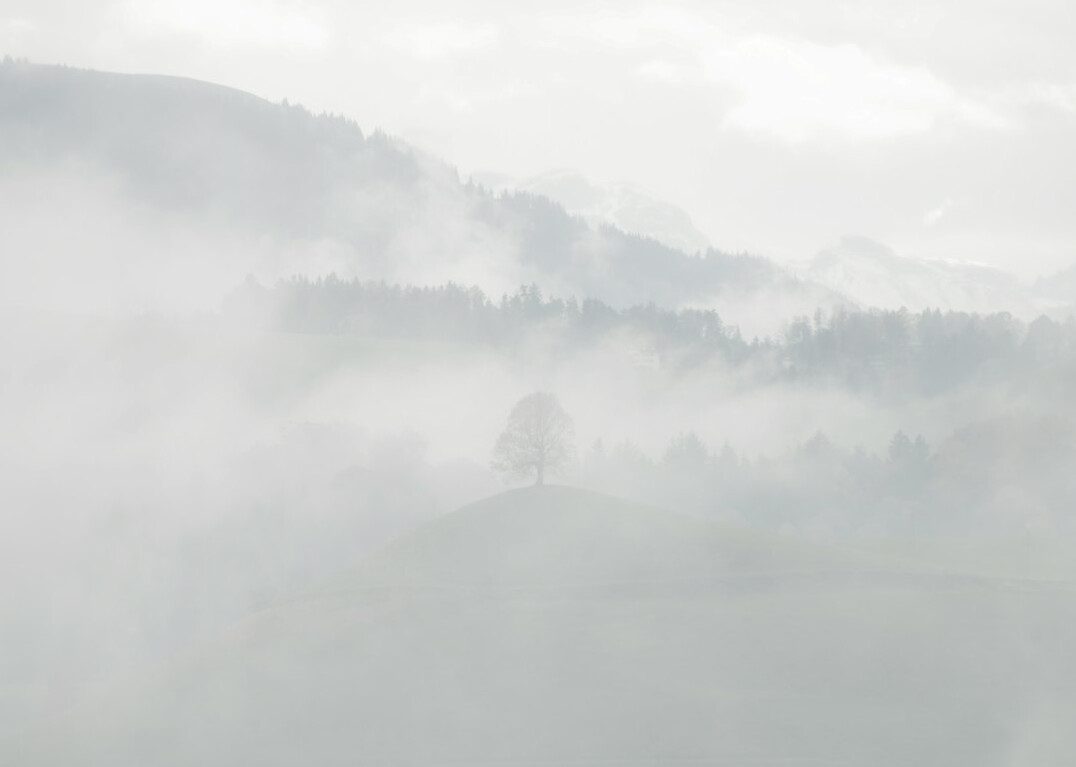 Misty hills in morning fog